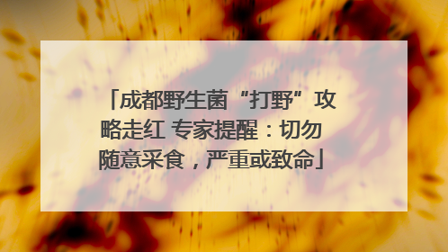 成都野生菌“打野”攻略走红 专家提醒：切勿随意采食，严重或致命