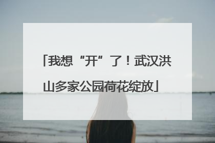 我想“开”了！武汉洪山多家公园荷花绽放