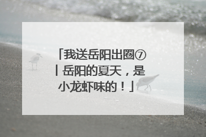 我送岳阳出圈⑦丨岳阳的夏天，是小龙虾味的！