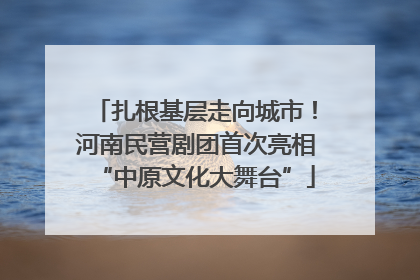 扎根基层走向城市！河南民营剧团首次亮相“中原文化大舞台”
