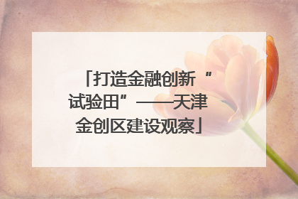 打造金融创新“试验田”——天津金创区建设观察