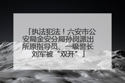 执法犯法！六安市公安局金安分局孙岗派出所原指导员、一级警长刘军被“双开”