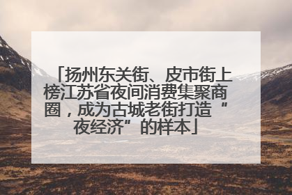 扬州东关街、皮市街上榜江苏省夜间消费集聚商圈，成为古城老街打造“夜经济”的样本