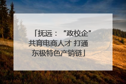 抚远：“政校企”共育电商人才 打通东极特色产销链