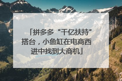 拼多多“千亿扶持”搭台，小鱼缸在电商西进中找到大商机