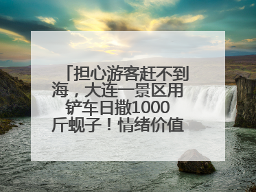 担心游客赶不到海，大连一景区用铲车日撒1000斤蚬子！情绪价值拉满！