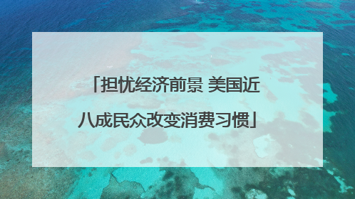 担忧经济前景 美国近八成民众改变消费习惯