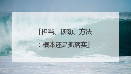 担当、韧劲、方法：根本还是抓落实