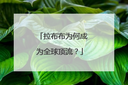 拉布布为何成为全球顶流？