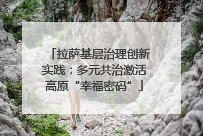 拉萨基层治理创新实践：多元共治激活高原“幸福密码”
