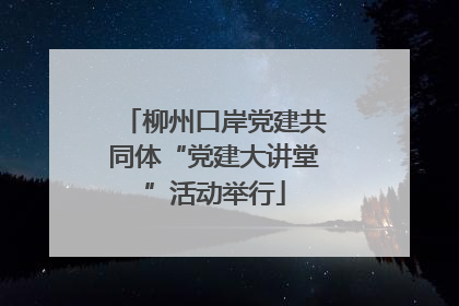 柳州口岸党建共同体“党建大讲堂”活动举行