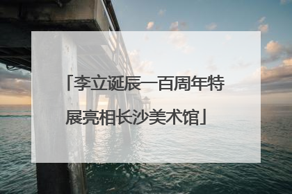 李立诞辰一百周年特展亮相长沙美术馆