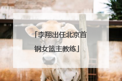 李翔出任北京首钢女篮主教练