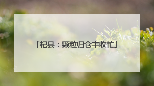 杞县：颗粒归仓丰收忙