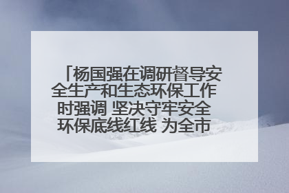 杨国强在调研督导安全生产和生态环保工作时强调 坚决守牢安全环保底线红线 为全市经济社会高质量发展提供坚强保障