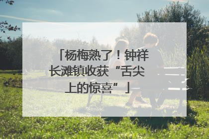 杨梅熟了！钟祥长滩镇收获“舌尖上的惊喜”