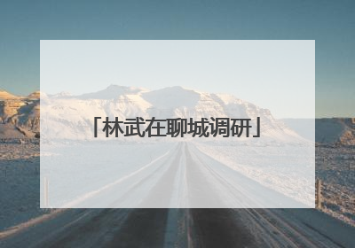 林武在聊城调研