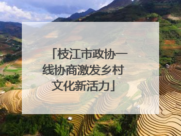 枝江市政协一线协商激发乡村文化新活力