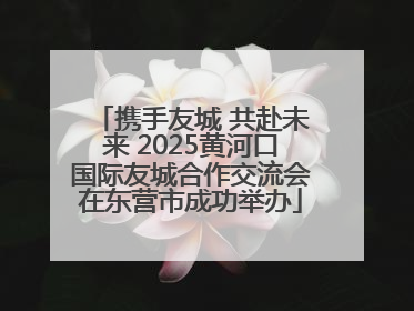 携手友城 共赴未来 2025黄河口国际友城合作交流会在东营市成功举办