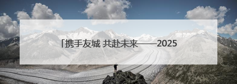 携手友城 共赴未来——2025黄河口国际友城合作交流会侧记