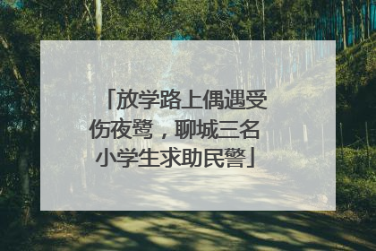 放学路上偶遇受伤夜鹭，聊城三名小学生求助民警