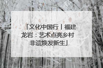 文化中国行丨福建龙岩：艺术点亮乡村 非遗焕发新生