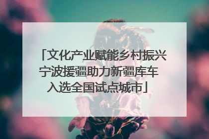 文化产业赋能乡村振兴 宁波援疆助力新疆库车入选全国试点城市