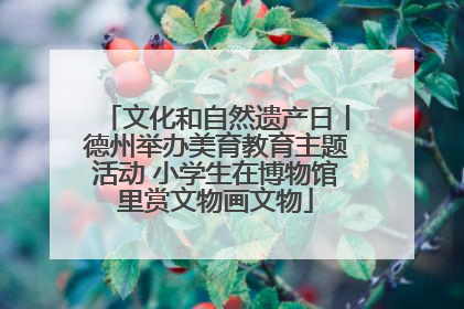 文化和自然遗产日丨德州举办美育教育主题活动 小学生在博物馆里赏文物画文物