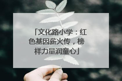 文化路小学：红色基因薪火传，榜样力量润童心
