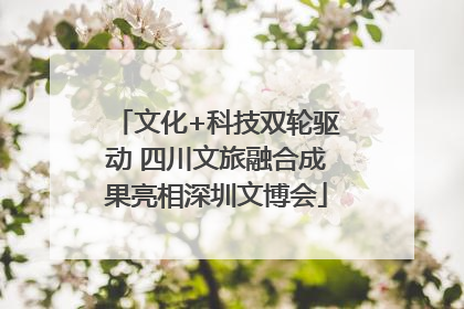 文化+科技双轮驱动 四川文旅融合成果亮相深圳文博会