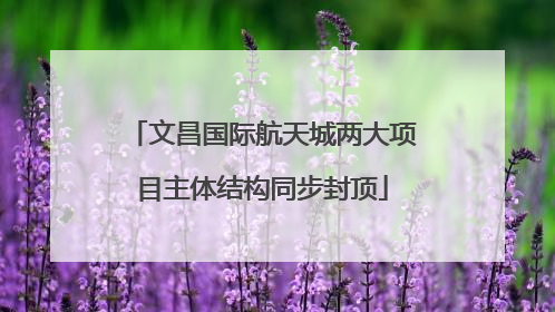 文昌国际航天城两大项目主体结构同步封顶