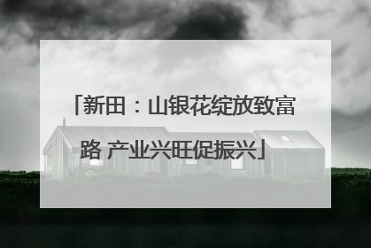 新田：山银花绽放致富路 产业兴旺促振兴