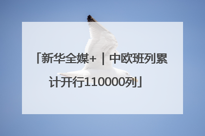 新华全媒+｜中欧班列累计开行110000列