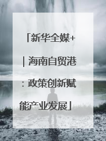 新华全媒+｜海南自贸港：政策创新赋能产业发展