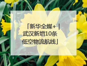 新华全媒+｜武汉新增10条低空物流航线