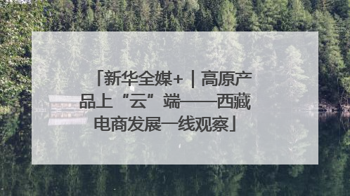新华全媒+｜高原产品上“云”端——西藏电商发展一线观察