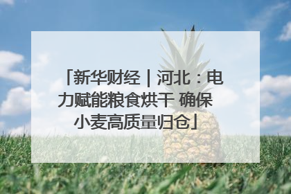 新华财经｜河北：电力赋能粮食烘干 确保小麦高质量归仓