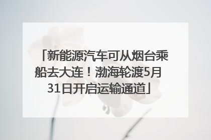 新能源汽车可从烟台乘船去大连！渤海轮渡5月31日开启运输通道