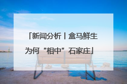 新闻分析丨盒马鲜生为何“相中”石家庄