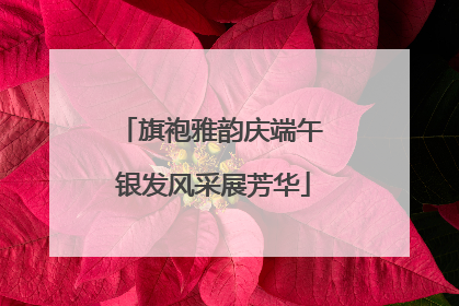 旗袍雅韵庆端午 银发风采展芳华