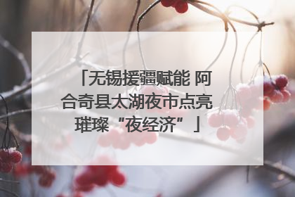 无锡援疆赋能 阿合奇县太湖夜市点亮璀璨“夜经济”