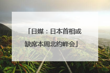 日媒：日本首相或缺席本周北约峰会