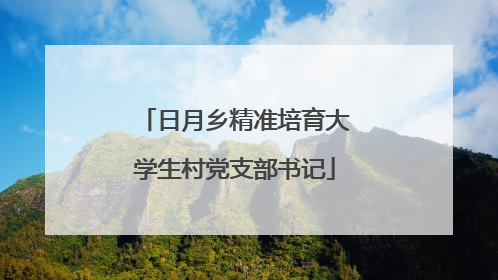 日月乡精准培育大学生村党支部书记