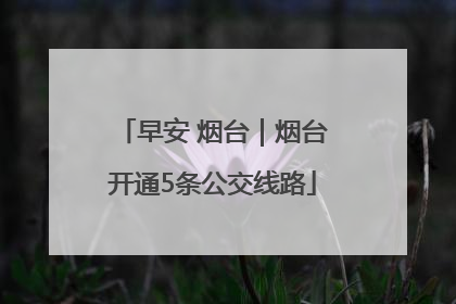 早安 烟台｜烟台开通5条公交线路