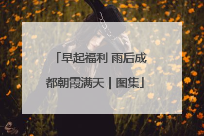 早起福利 雨后成都朝霞满天｜图集