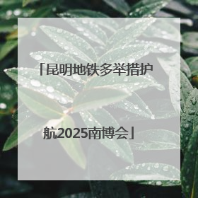 昆明地铁多举措护航2025南博会
