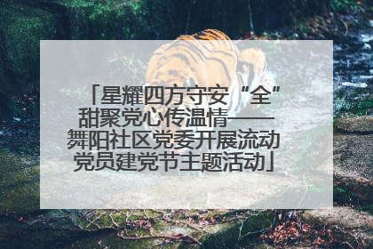 星耀四方守安“全” 甜聚党心传温情——舞阳社区党委开展流动党员建党节主题活动