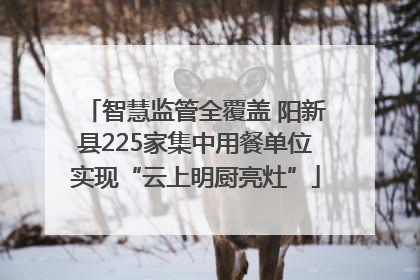 智慧监管全覆盖 阳新县225家集中用餐单位实现“云上明厨亮灶”