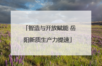 智造与开放赋能 岳阳新质生产力提速