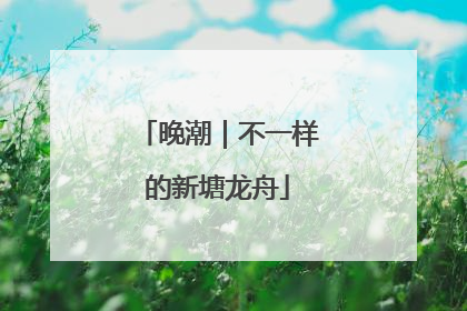 晚潮｜不一样的新塘龙舟